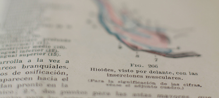 Opinión Asociados